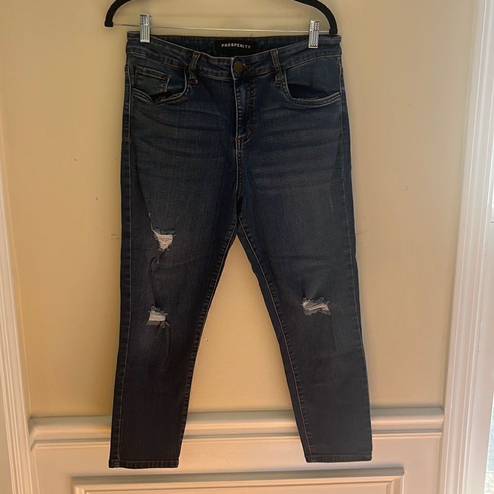 Prosperity Cropped Distressed Blue Jeans